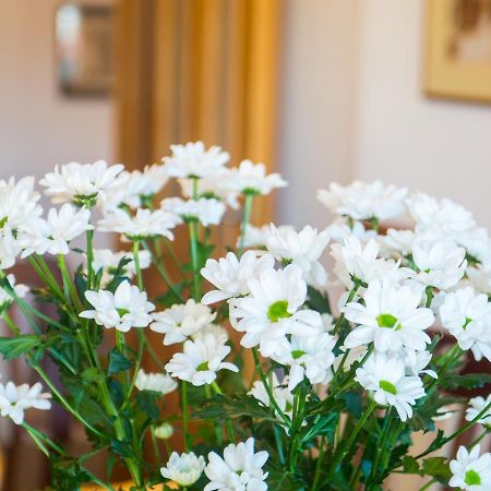 Apartment Italy - Promenade موستار المظهر الخارجي الصورة